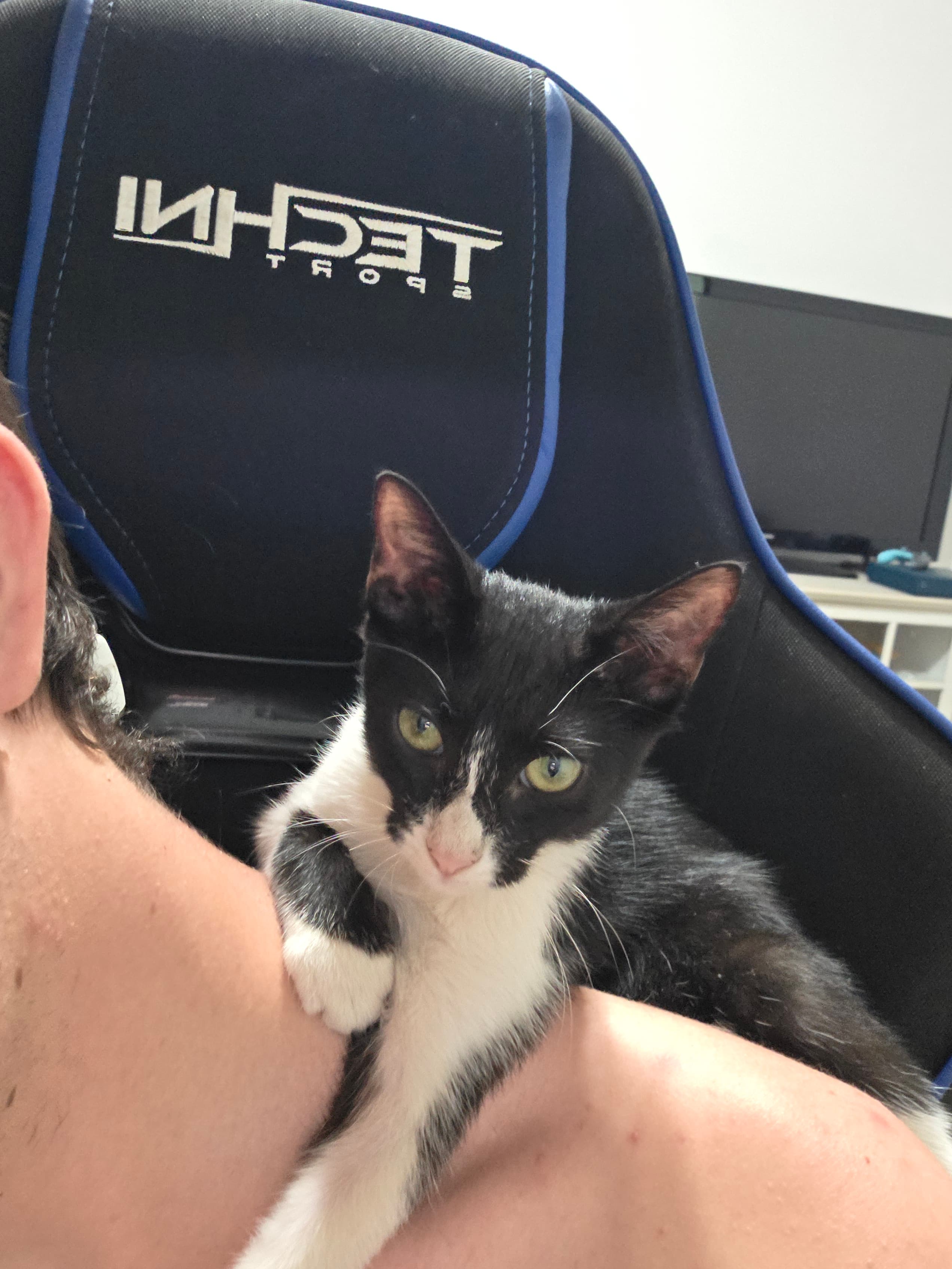 Samy on Zoom's Shoulder